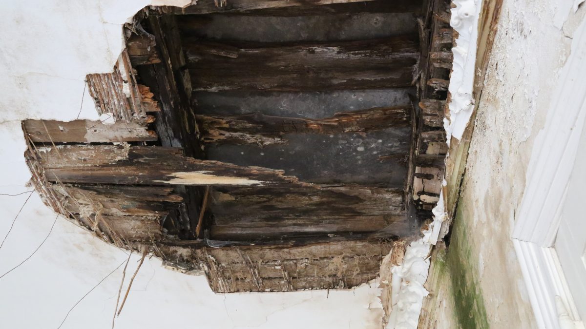 GSB Holzschutz - Holzbalkendecke mit Braunfäule und Schwamm